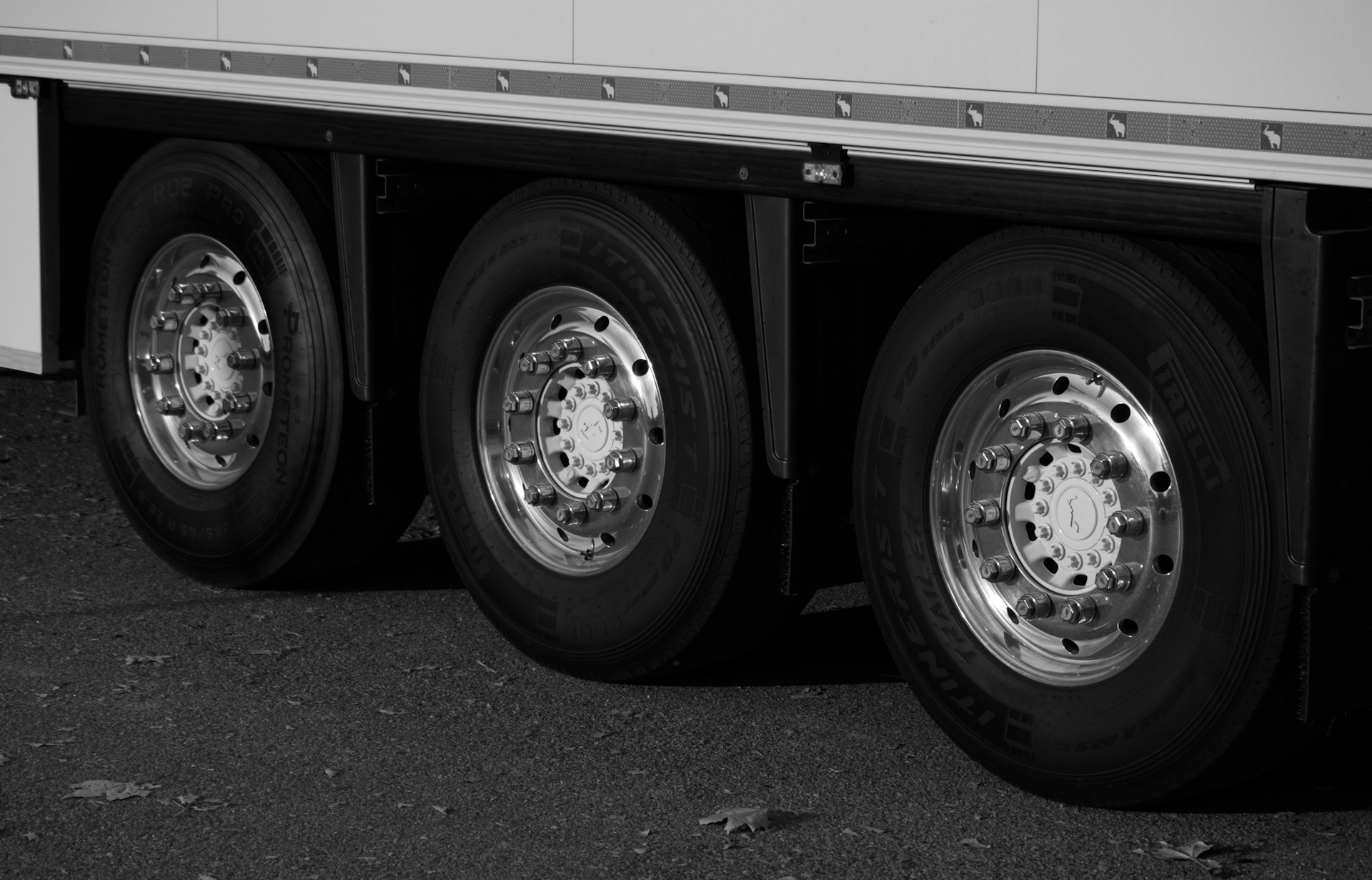 White semi trucks parked at truck yard at golden hour